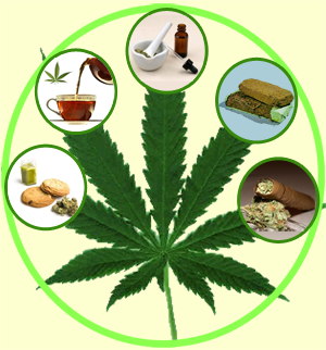 Cosmetics-with-cannabis-butter.png
