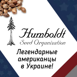 Купить семена конопли